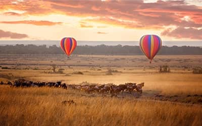 balloon safari