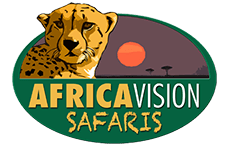 logo africa vision safaris